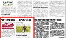 竹山农香最新爆料新闻报道,揭秘农产品背后的秘密与真相