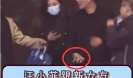 新爆料汪小菲视频,揭秘背后惊人真相